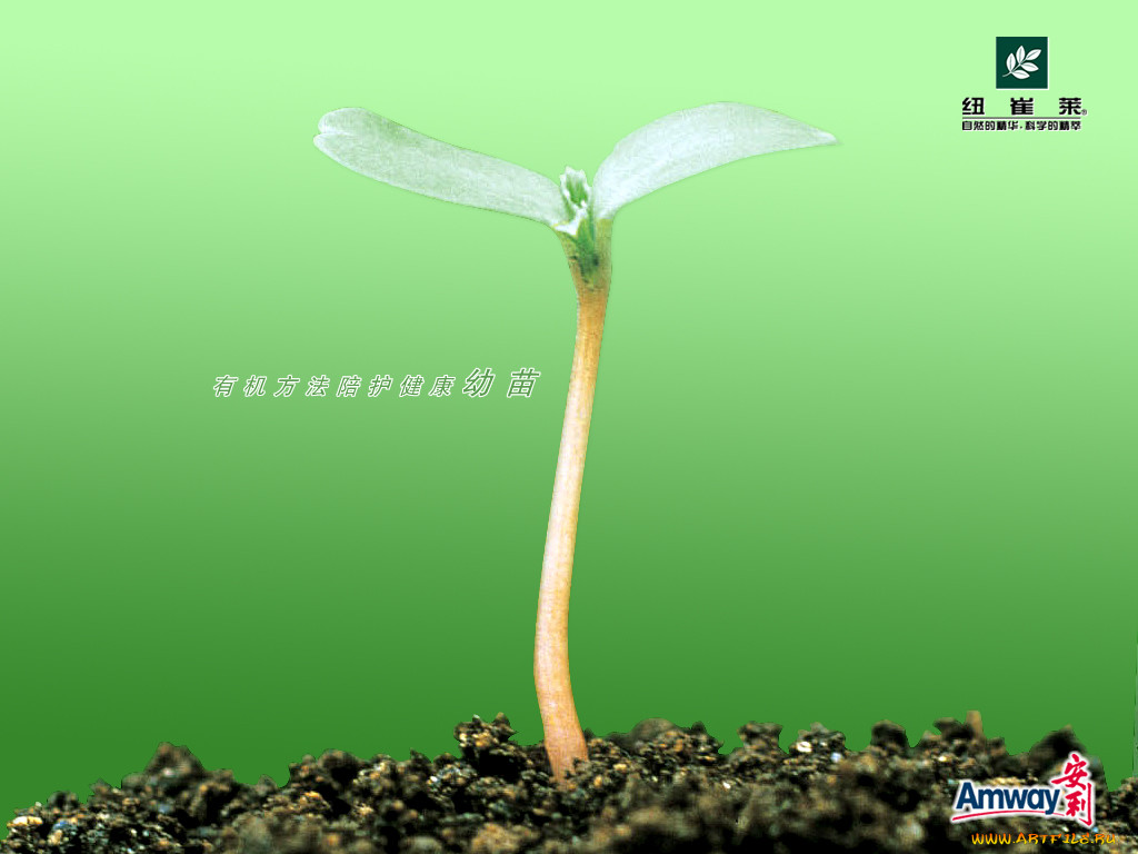 , amway